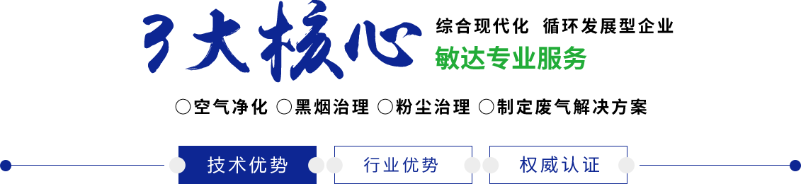黑人日逼敏达环保科技（嘉兴）有限公司